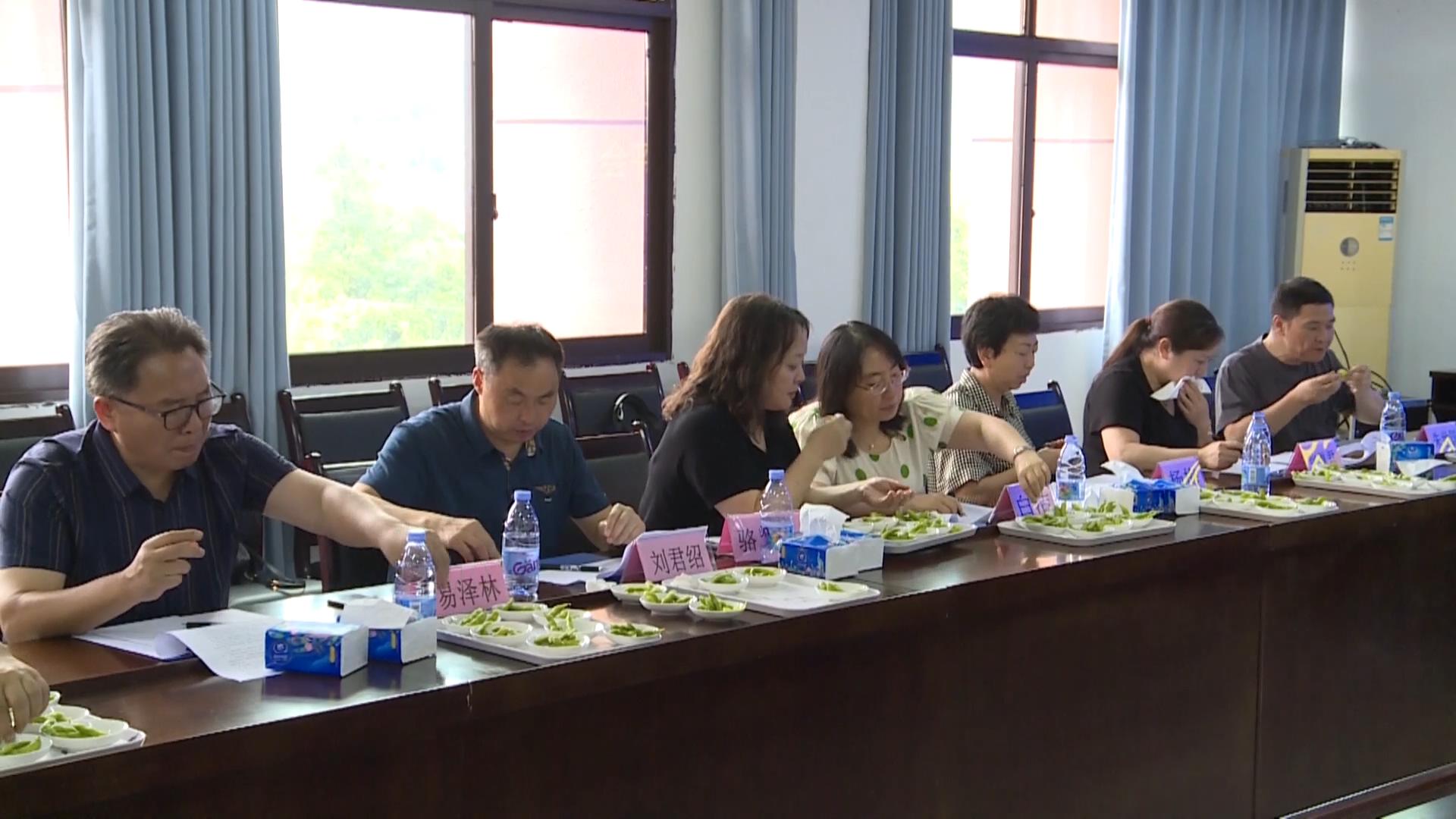 重庆市鲜食大豆新品种食用品质鉴评会在万州举行_20240704154924.JPG
